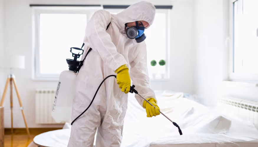 شركة مكافحة حشرات بالقصيم