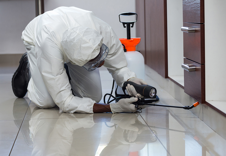 شركة مكافحة حشرات ببيشه