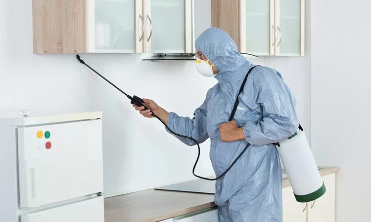 شركة مكافحة حشرات بجده