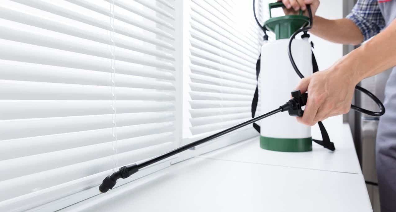 شركة مكافحة حشرات بجده